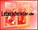 Lebensfenster